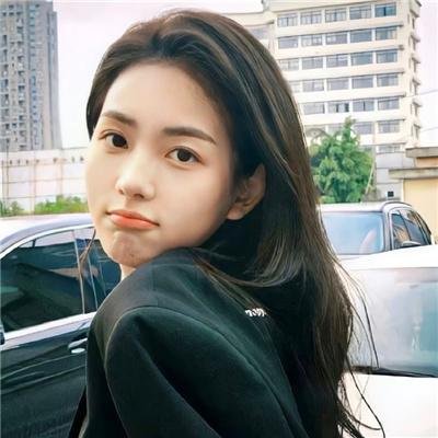 工程师普赖特的方案