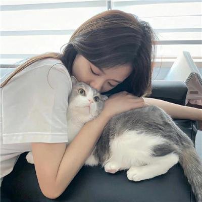 小报